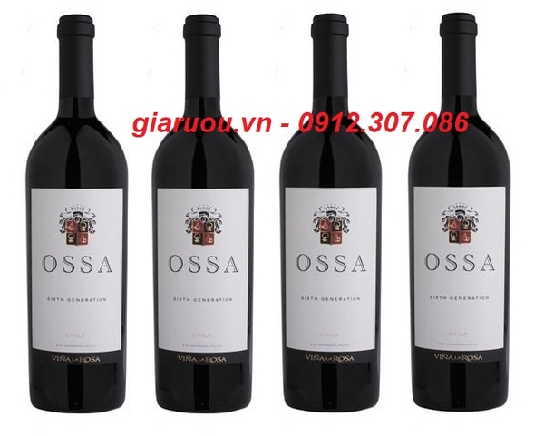 NHÀ PHÂN PHỐI VANG CHILE OSSA ICON WINE GIÁ RẺ NHẤT - GIARUOU.VN