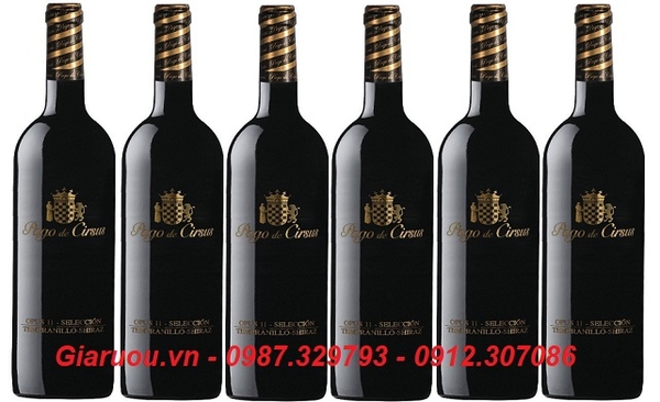 PHÂN PHỐI VANG PAGO DE CIRSUS OPUS 11 SELECCION GIÁ RẺ NHẤT