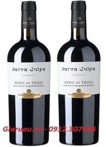 ĐỊA CHỈ BÁN RƯỢU VANG CHILE, VANG Ý GIÁ RẺ HÀNG ĐẢM BẢO CHẤT LƯỢNG LÀM QUÀ TẾT