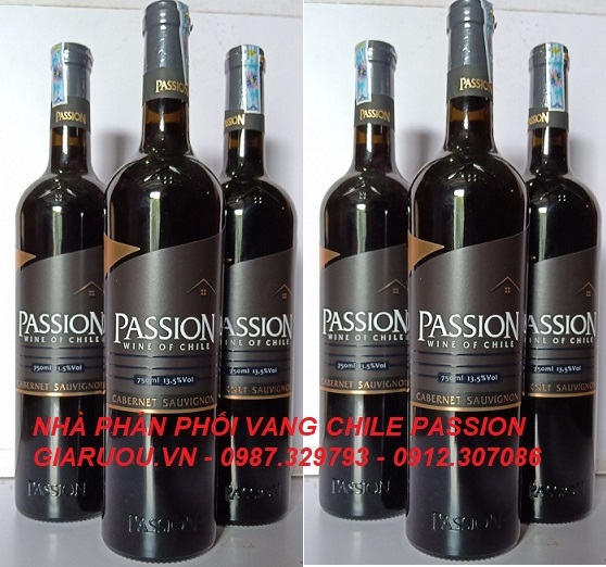 PHÂN PHỐI RƯỢU VANG CHILE, VANG PHÁP GIÁ RẺ TẠI HÀ NỘI, TP. HCM