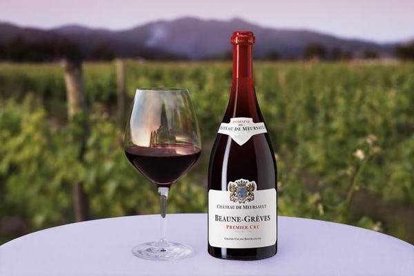 Pinot Noir, Merlot, Cabernet Sauvignon - 3 loại vang đỏ này có gì đặc biệt?