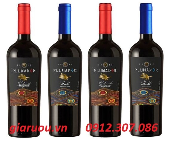 TỔNG ĐẠI LÝ VANG CHILE PLUMADOR CABERNET SAUVIGNON MERLOT TẠI MIỀN BẮC
