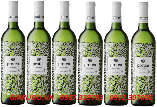 PHÂN PHỐI VANG NAM PHI PROTEA CHENIN BLANC GIÁ TỐT NHẤT