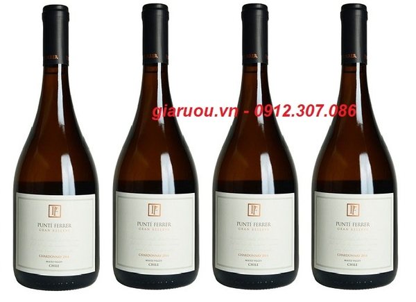 CHUYÊN PHÂN PHỐI VANG CHILE PUNTI FERRER GRAN RESERVA CHARDONNAY