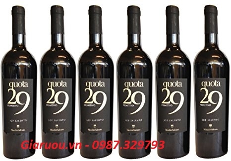 CUNG CẤP RƯỢU VANG LÀM HẦM RƯỢU VỚI GIÁ RẺ NHẤT THỊ TRƯỜNG