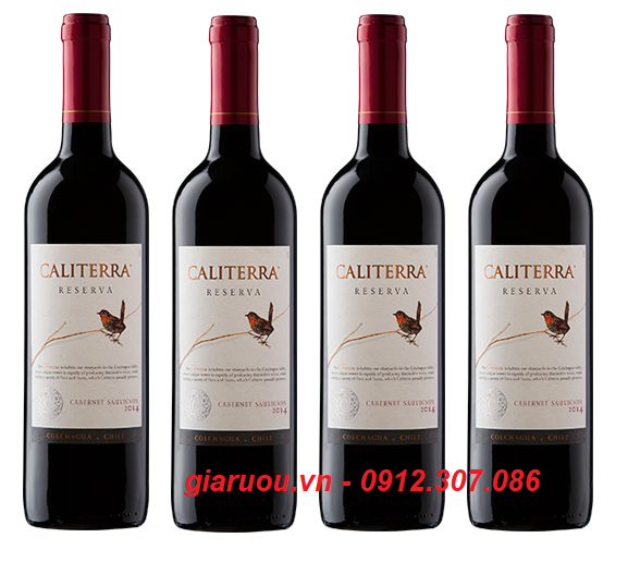 VANG CHILE CALITERRA RESERVA CHUYÊN PHỤC VỤ TIỆC CƯỚI GIÁ TỐT NHẤT