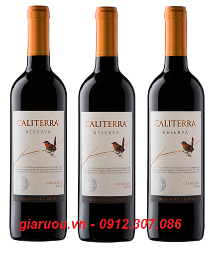 BÁN BUÔN GIÁ CỰC RẺ - VANG CHILE CALITERRA RESERVA CARMENERE