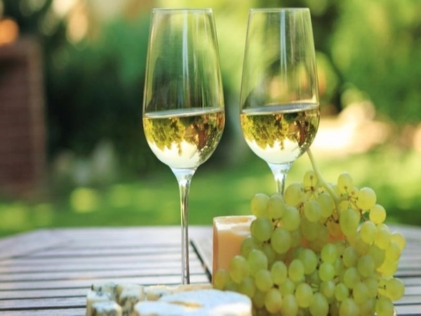 Hướng dẫn cách thưởng thức rượu vang trắng ngon đúng điệu