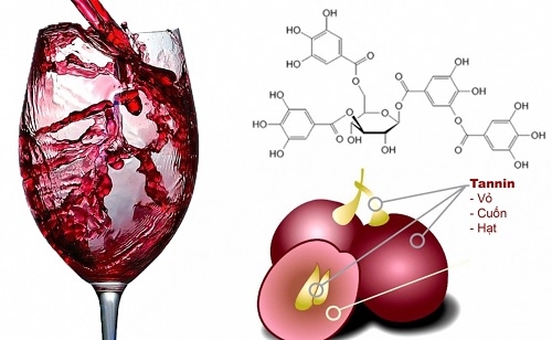 Vì sao rượu vang lại có vị chua?