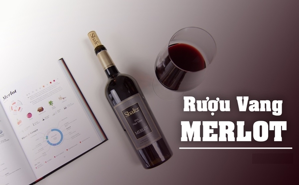 Vang đỏ Merlot và Pinot Noir khác nhau như thế nào?