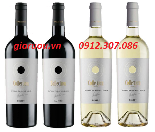 Rượu vang trắng - đồ uống tốt cho sức khỏe con người