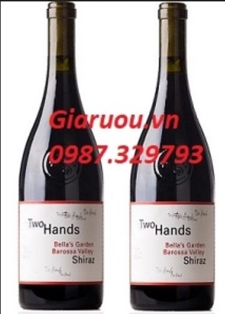 Những dòng rượu vang đỏ nổi bật hiện nay