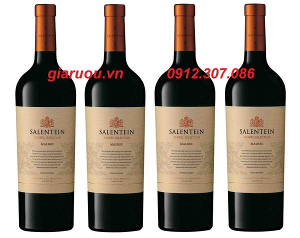 ƯU ĐÃI GIÁ RẺ - VANG ARGENTINA SALENTEIN BARREL SELECTION MALBEC