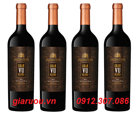 RƯỢU VANG ARGENTINA SALENTEIN GRAN VU BLEND GIÁ TỐT NHẤT