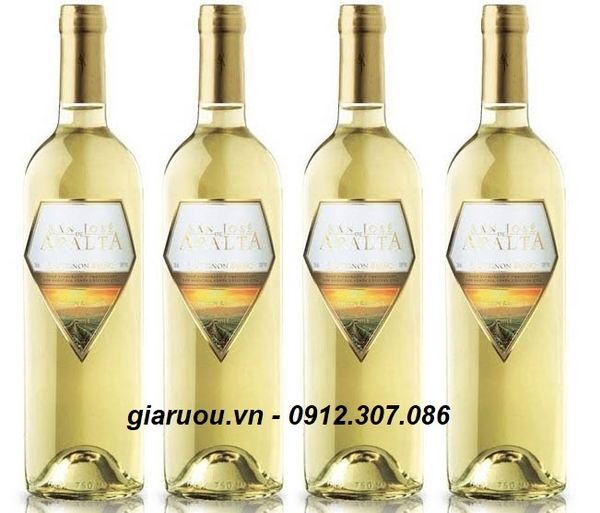 CUNG CẤP VANG CHILE SAN JOSE APALTA TRANDITION SAUVIGNON BLANC