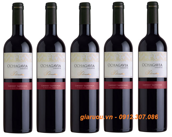 CHUYÊN PHÂN PHỐI VANG CHILE OCHAGAVIA SILVESTRE CABERNET SAUVIGNON