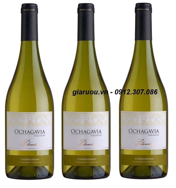 VANG CHILE OCHAGAVIA SILVESTRE CHARDONNAY CHÍNH HÃNG GIÁ CỰC RẺ