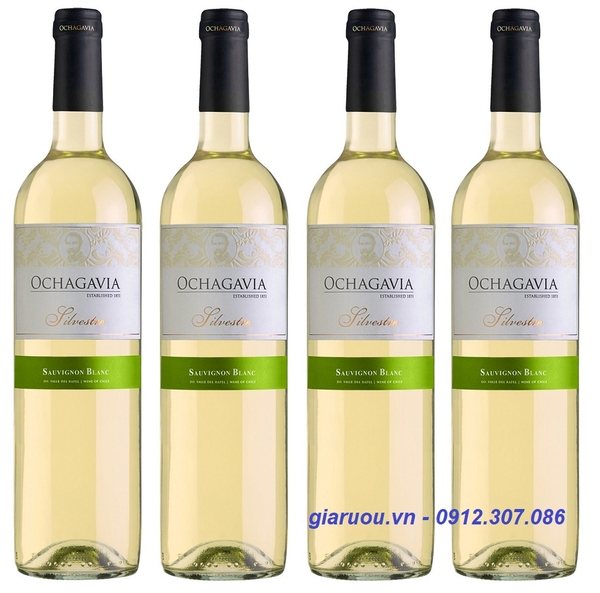 ĐỊA CHỈ BÁN VANG CHILE OCHAGAVIA SILVESTRE SAUVIGNON BLANC UY TÍN NHẤT