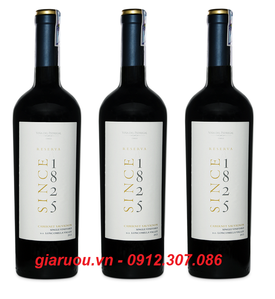 GIÁ VANG CHILE SINCE 1825 RESERVA CABERNET SAUVIGNON RẺ NHẤT HÀ NỘI