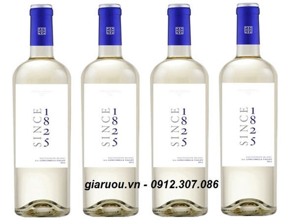 BÁN BUÔN VANG CHILE SINCE 1825 SAUVIGNON BLANC GIÁ TỐT NHẤT