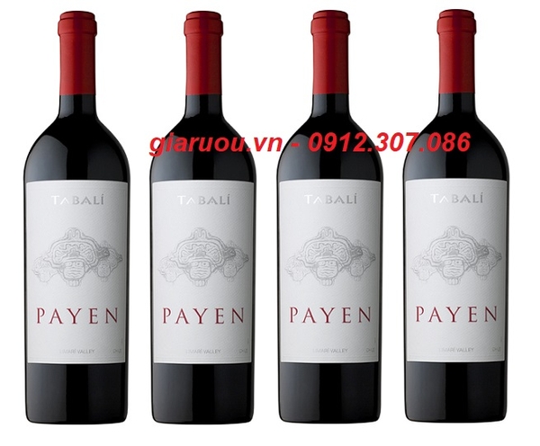 ĐỊA CHỈ BÁN VANG CHILE TABALI PAYEN UY TÍN GIÁ CỰC RẺ - GIARUOU.VN