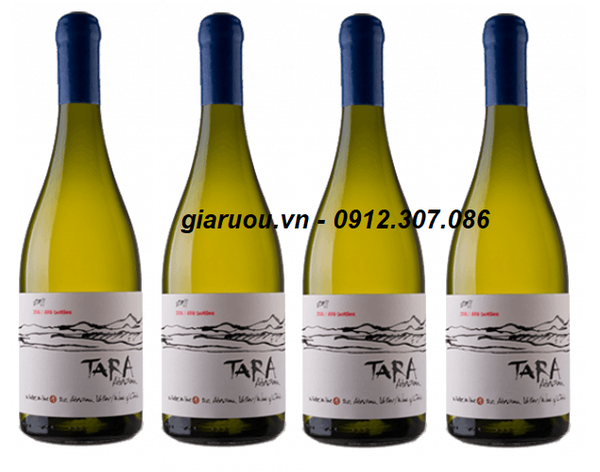 VANG CHILE TARA ATACAMA CHARDONNAY - HÀNG CHUẨN, ĐẸP LÀM QUÀ TẾT