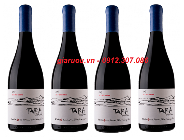 CHUYÊN PHÂN PHỐI VANG CHILE TARA ATACAMA SYRAH GIÁ RẺ NHẤT HÀ NỘI