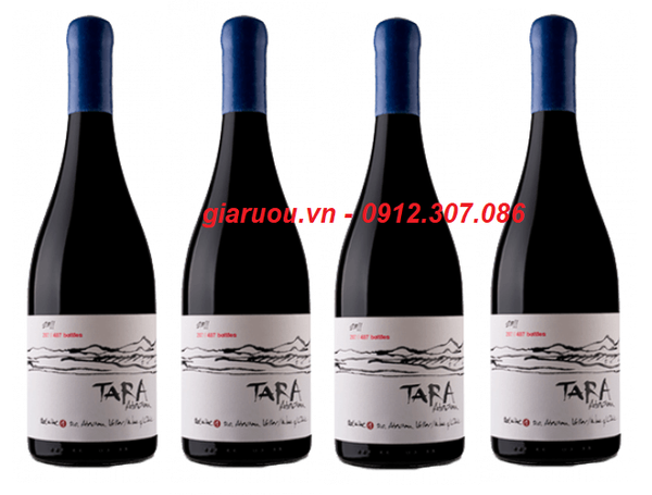 VANG CHILE TARA ATACAMA SYRAH BÁN RẺ NHẤT