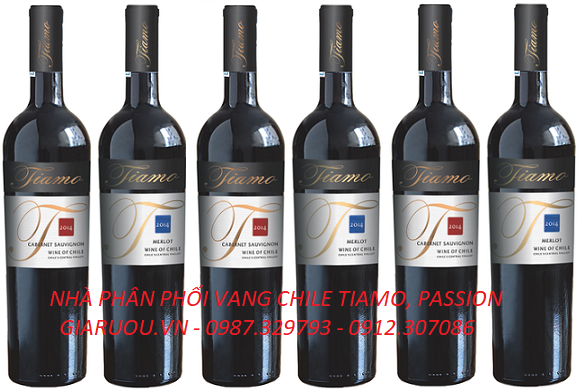 NHỮNG CHAI RƯỢU VANG GIÁ RẺ LÀM GIỎ QUÀ CỰC ĐẸP