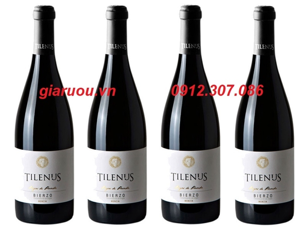 CHỌN RƯỢU VANG TÂY BAN NHA TILENUS LÀM QUÀ TẾT GIÁ CỰC TỐT