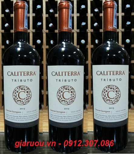 GIÁ VANG CHILE CALITERRA TRIBUTO CABERNET SAUVIGNON RẺ NHẤT