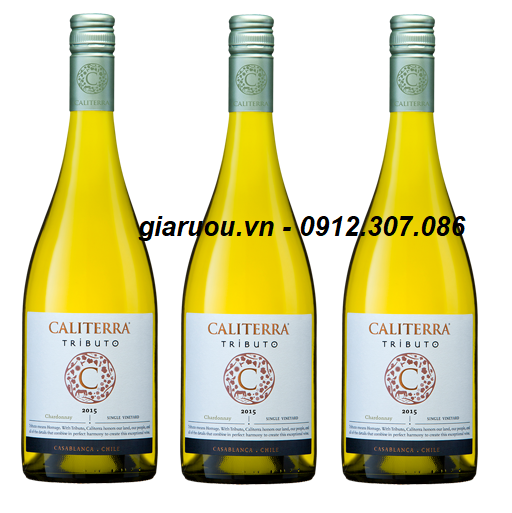 VANG CHILE CALITERRA TRIBUTO CHARDONNAY CHÍNH HÃNG UY TÍN GIÁ TỐT NHẤT