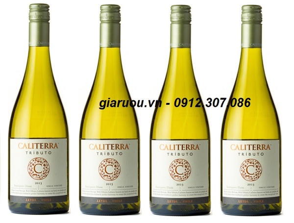 VANG CHILE CALITERRA TRIBUTO SAUVIGNON BLANC GIÁ RẺ NHẤT THỊ TRƯỜNG