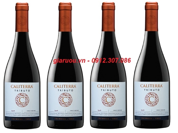 PHÂN PHỐI VANG CHILE CALITERRA TRIBUTO SYRAH GIÁ TỐT NHẤT