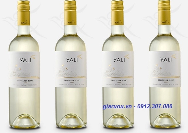 CUNG CẤP VANG CHILE YALI RESERVA SAUVIGNON BLANC GIÁ RẺ NHẤT