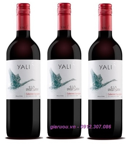 GIÁ VANG CHILE YALI WILD SWAN CABERNET SAUVIGNON TỐT NHẤT
