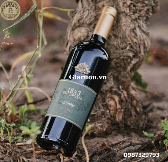 1853 OLD VINE ESTATE HERITAGE MALBEC UỐNG QUÁ NGON, GIÁ RẺ NHẤT