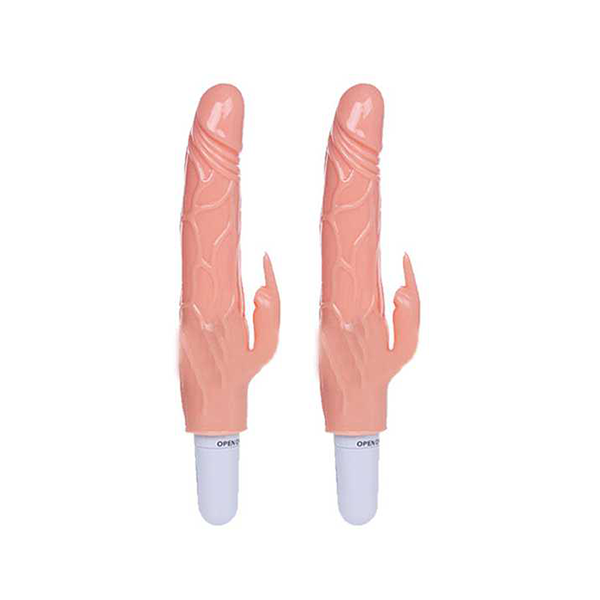 duong-vat-gia-baile-1-pin