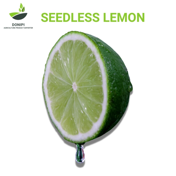 Seedless Lemon Seedless Lime for export – AGRICULTURE PRODUCT EXPORTER