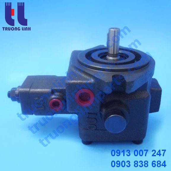 VS-20-FA3 Bơm Cánh Gạt