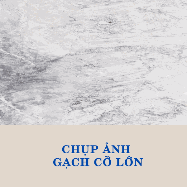 Chụp ảnh gạch ốp lát khổ lớn cho công ty 75