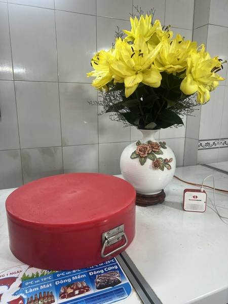 Thớt nhựa tròn 45 cm