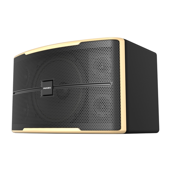 Loa Karaoke 12 inches Paramax Z-2500