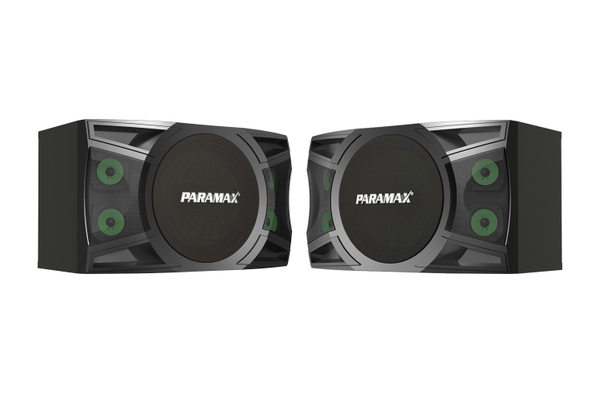 Loa Karaoke 12-inch Paramax P-2000