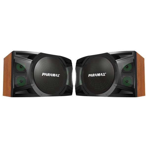 Loa Karaoke 12 inches Paramax P-2500