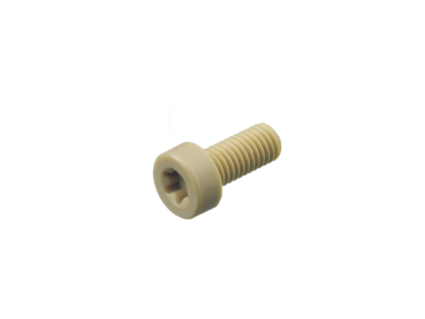 Vít Đầu Trụ Thấp Lỗ Sao Torx PPS