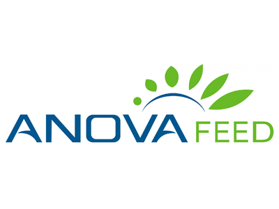 Hệ thống xử lý nước thải Anova Feed - Hưng Yên