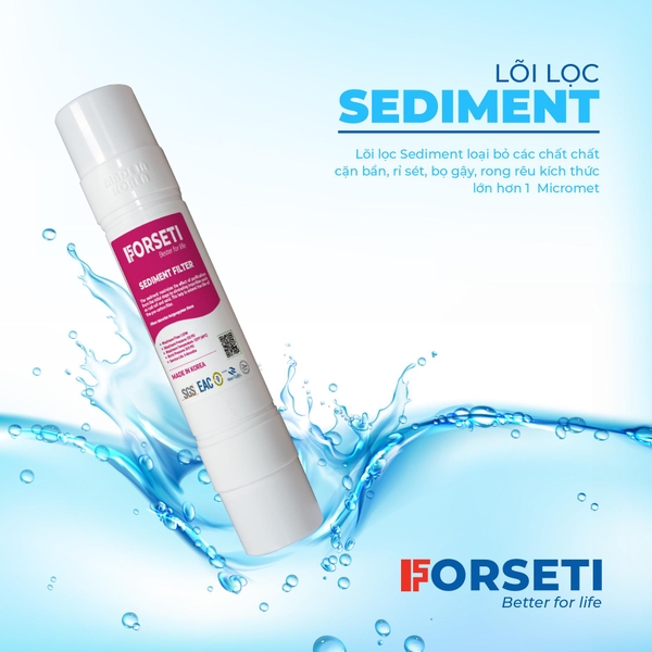 Lõi thô Sediment Forseti đúc Hàn Quốc