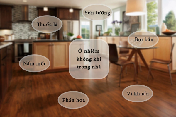 Lư thông gió trong nhà