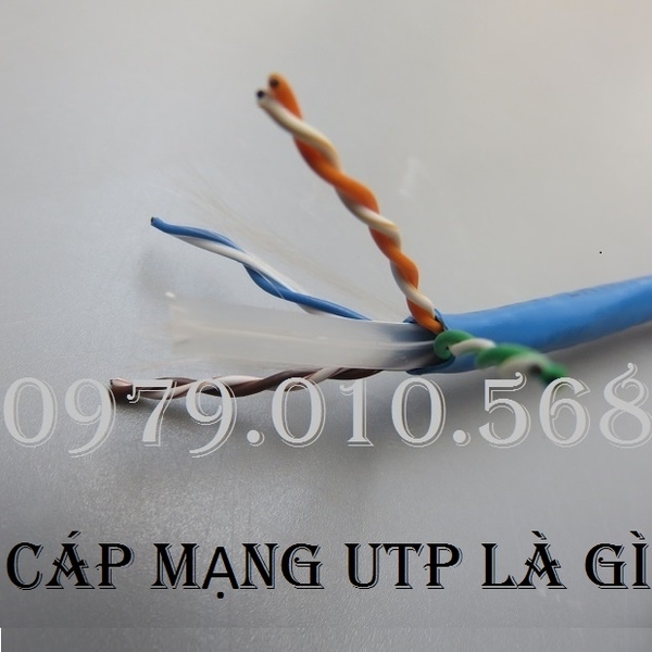 Tất cả thông tin về cáp mạng cat5, cat6 UTP - hãy tìm hiểu